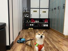 -K1拳击泰拳健身俱乐部