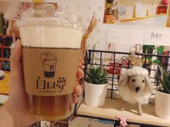 -白日梦奶茶