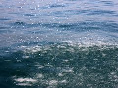 -西涌国际滨海旅游区