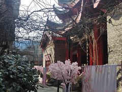 -国色写真馆(园博园店)