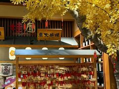 -大江户·温泉洗浴(浑南店)