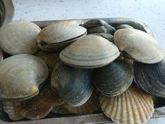 -王潮活海鲜自助·蒸汽海鲜