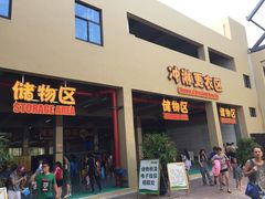 -苏州乐园森林水世界