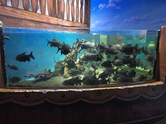 -沙沙哗啦海洋馆(华宇百花谷店)