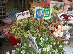 -循礼门鲜花花市(武汉循礼门店)