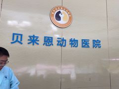 -贝来恩24H动物医院·转诊中心(稻香路店)