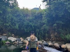 -石台牯牛降景区