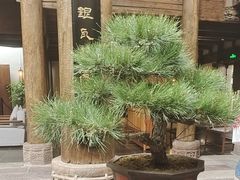 -广富林宰相府酒店·水云间