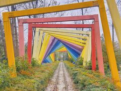 -合肥滨湖国家森林公园