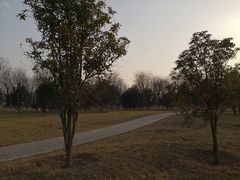 -洨河生态公园