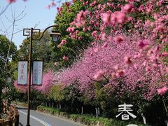 -杭州半山国家森林公园