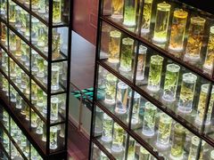 -广东中医药博物馆