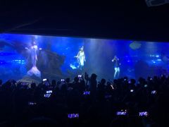 -江和美海洋公园