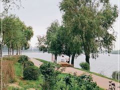 -丁香湖公园