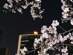 -西北湖绿化广场