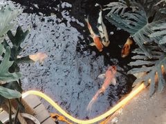 -顺景温泉