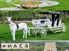 -周口店坡峰岭风景区