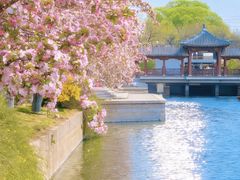 -元大都城垣遗址公园