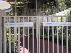 -上海市实验学校