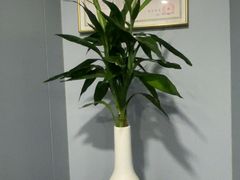 -田凤波推拿.按摩养生(幸福店)