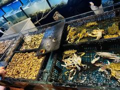 -九月海·海鲜自助(世纪东方店)