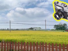 -莲花岛景区