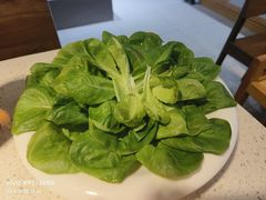 -九孔·筒骨莲藕汤锅(大明宫万达店)