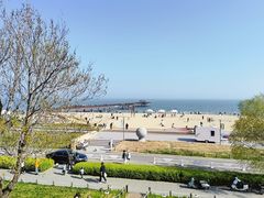 -猫的天空之城概念书店(北戴河蔚蓝海岸店)