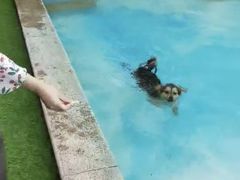 -汪说喵讲宠物乐园宠物酒店(红星美凯龙店)