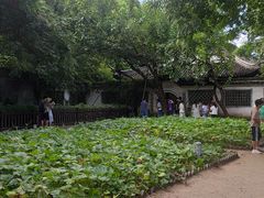 -绍兴鲁迅故里·沈园景区