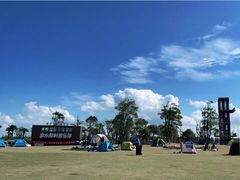 -春花秋色城市公园