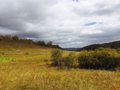 -塞罕坝国家级自然保护区