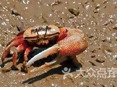 -北海金海湾红树林生态旅游区