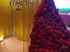 -交通银行前滩31演艺中心