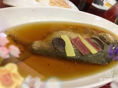 清蒸鲥鱼-金时代顺风大酒店(协泰店)