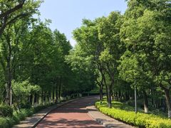 -九里河湿地公园