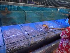 -海韵之星邮轮水会(明发商业广场店)