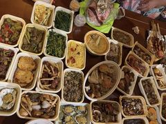 -三亚亚龙湾人间天堂鸟巢度假村