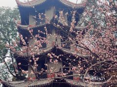 -成都杜甫草堂博物馆