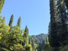 -新疆那拉提国家旅游度假区