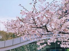 -上海体育场(地铁站)