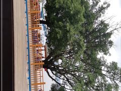 -抚仙湖禄充风景区