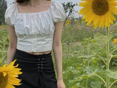 -三圣花乡旅游区