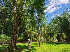 -中国科学院西双版纳热带植物园