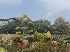 -吴山景区