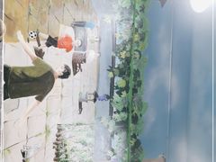 -李双猪脑花面(东大街店)