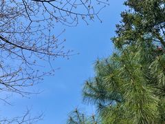 -北仑森林植物园