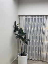 -HEYAN荷妍专业脱毛连锁机构