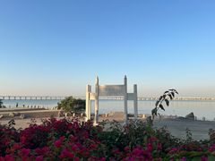 -宝安西湾红树林湿地公园