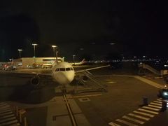 -威勒比开放式动物园